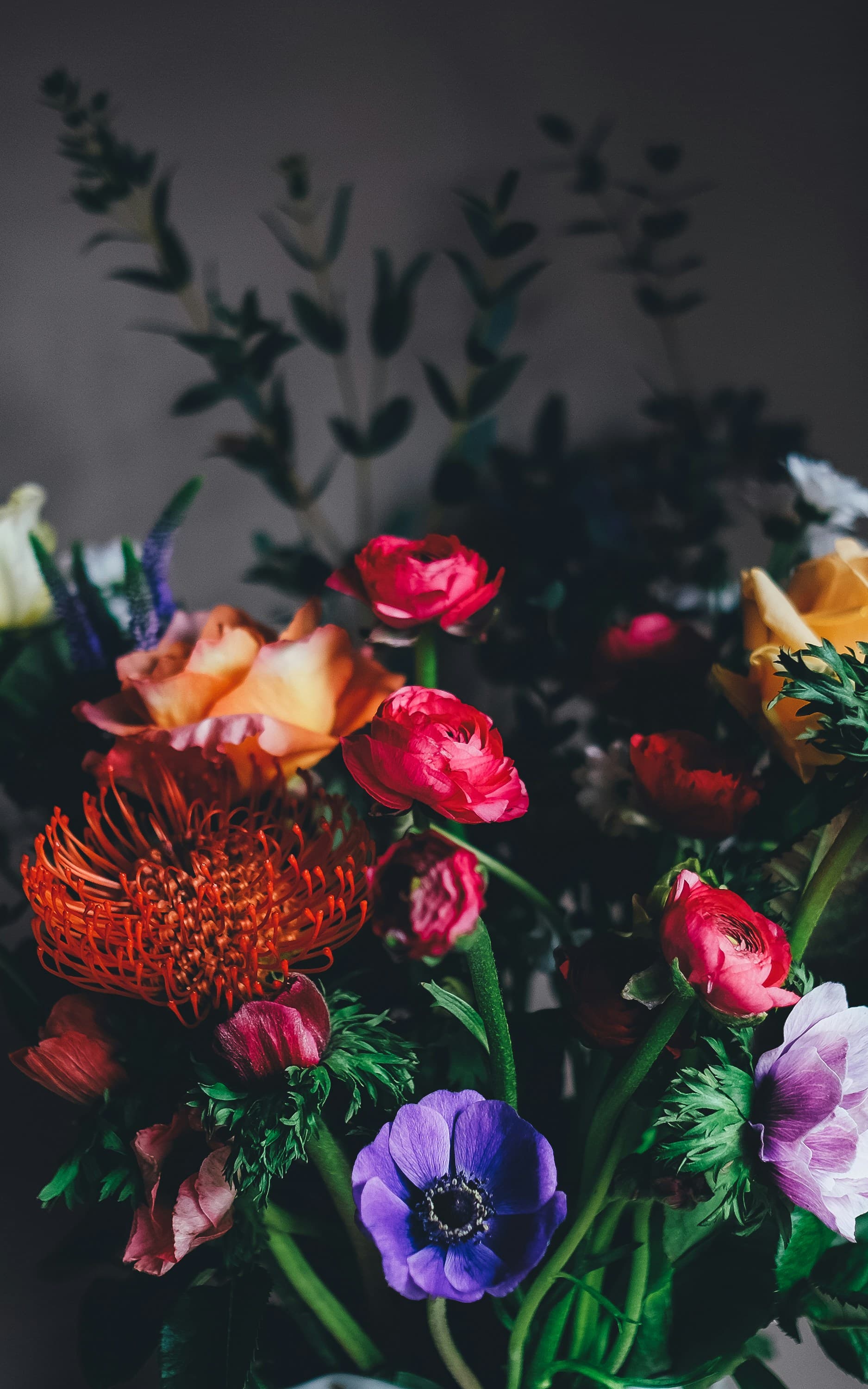 Buquê de flores variadas sobre fundo escuro